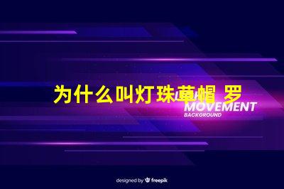为什么叫灯珠草帽 罗为什么叫草帽当家